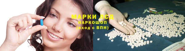 сатива Аркадак
