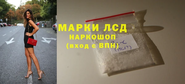 сатива Аркадак