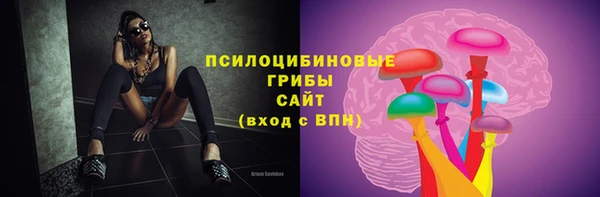 прущие крисы Армянск