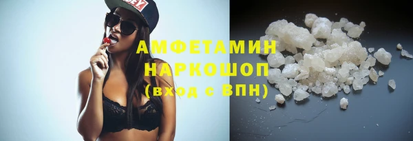 сатива Аркадак