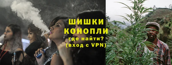 сатива Аркадак