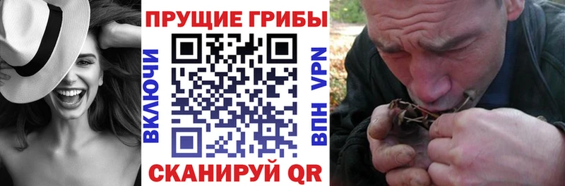 Галлюциногенные грибы Psilocybine cubensis  как найти закладки  OMG ССЫЛКА  Протвино 